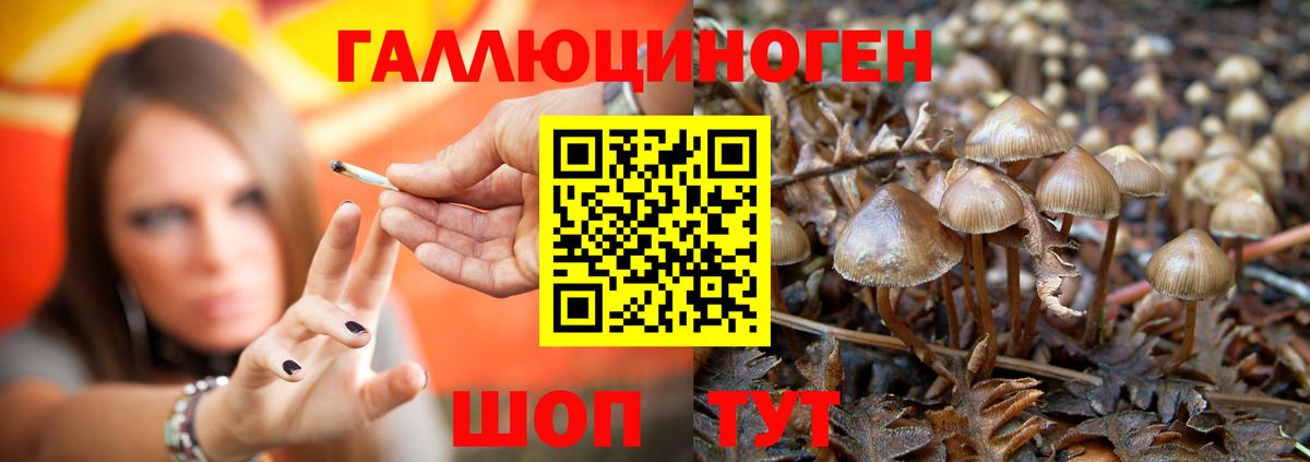 Псилоцибиновые грибы Psilocybine cubensis  Вход с VPN  Галлюциногенные грибы прущие грибы  Волжский 